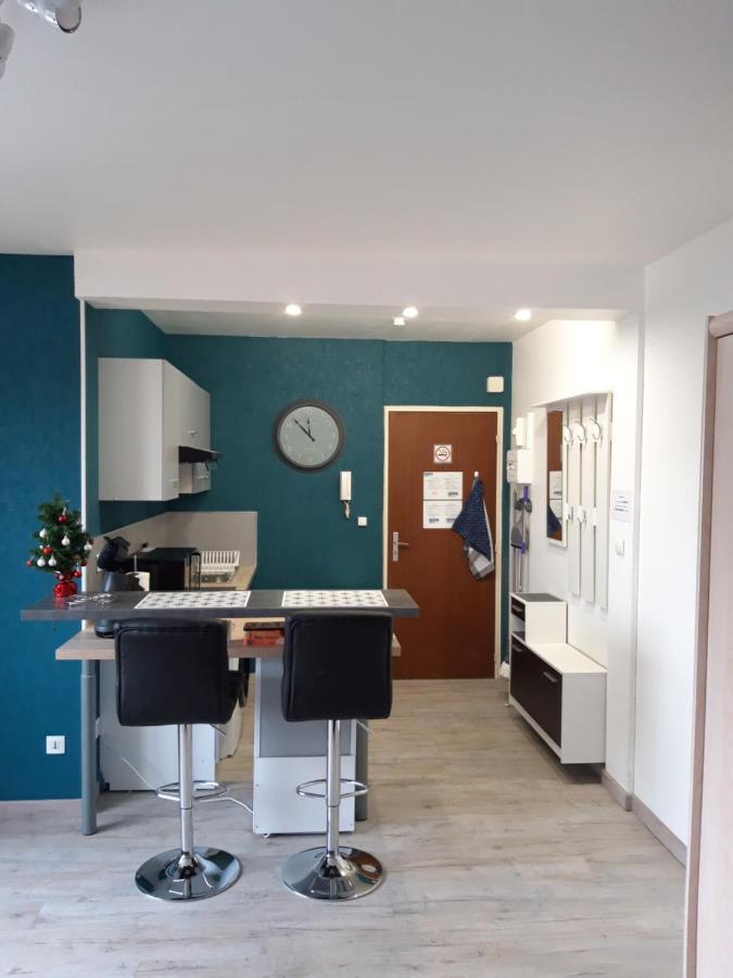 Apartament Au Cosy De L'Est Avec Parking Colmar Zewnętrze zdjęcie